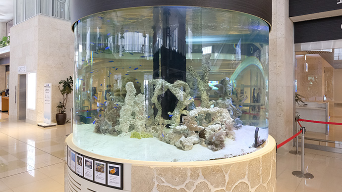 Aquarium 画像